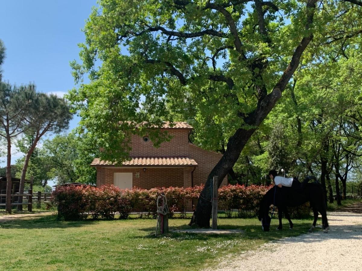 Vila Casina Miriano Castiglione del Lago Exteriér fotografie