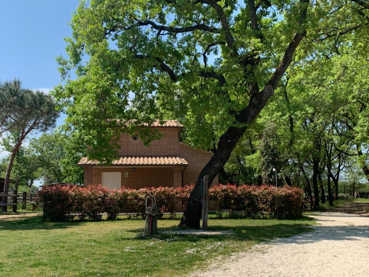 Vila Casina Miriano Castiglione del Lago Exteriér fotografie